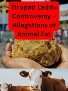 Tirupati Laddu Controversy – Allegations of Animal Fat