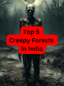 Top 5 Creepy Forests in India